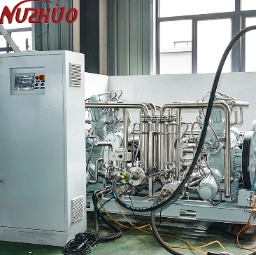 Oilfree Piston Oxygen Booster